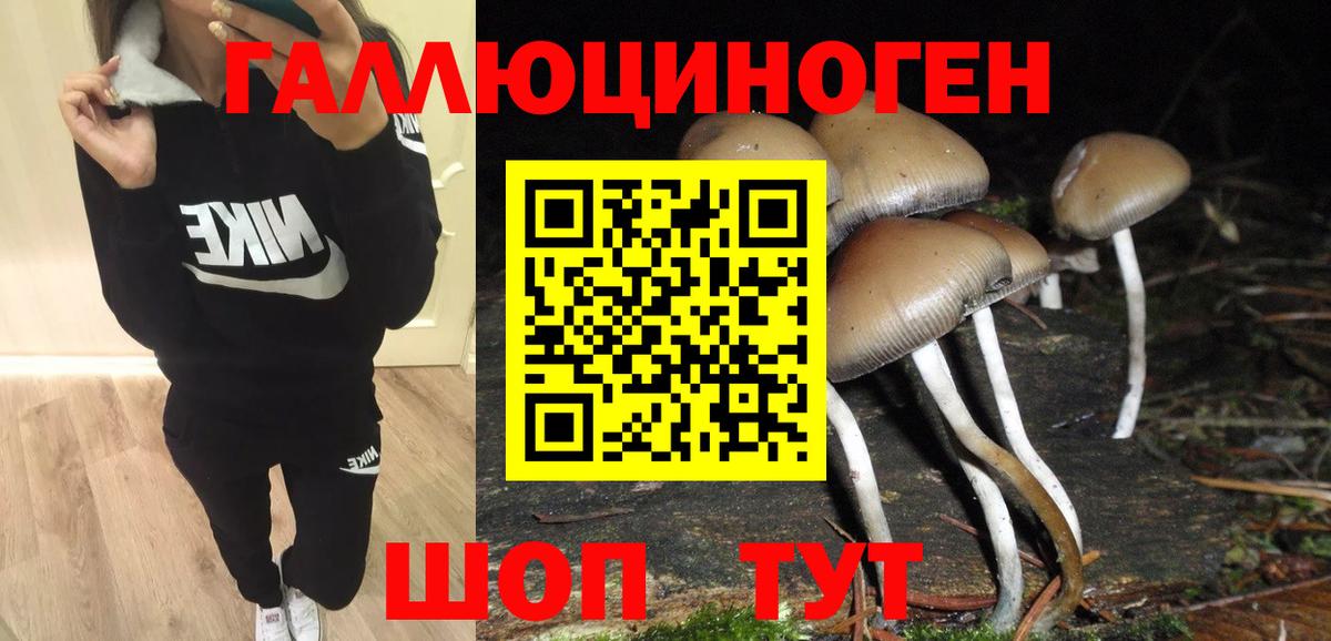 Псилоцибиновые грибы MAGIC MUSHROOMS  Вход с VPN  где найти наркотики  Галлюциногенные грибы Psilocybine cubensis  Петрозаводск 